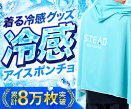 STEAD（スティード）